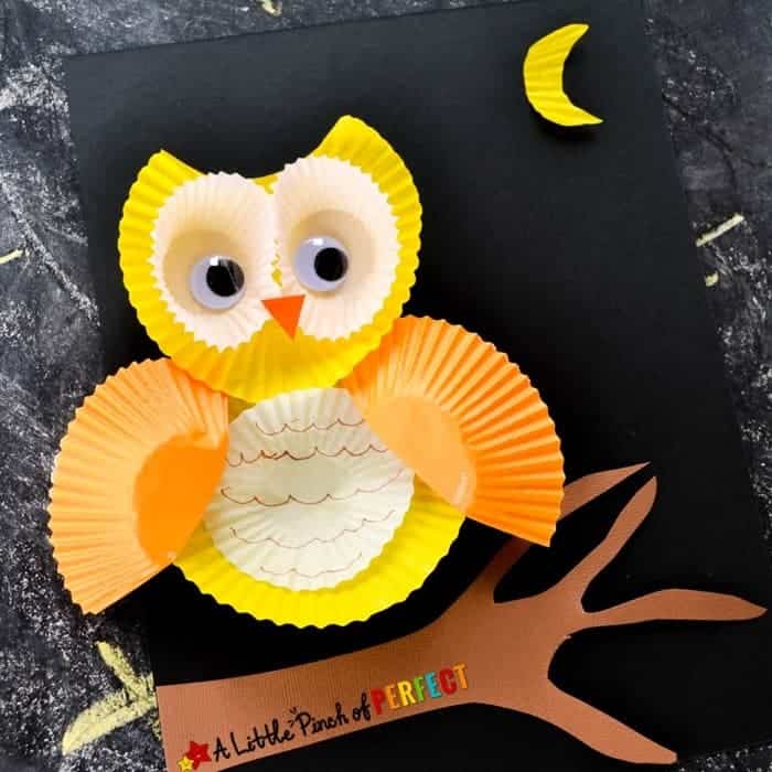 Image for Cupcake Liner Owls