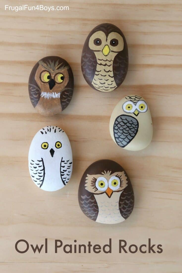 Image for Owl Painted Rocks
