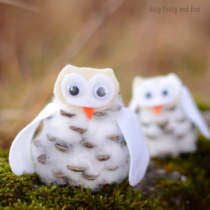 Image for Pinecone Winter Owls