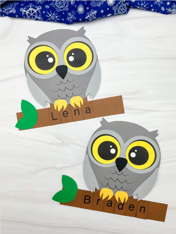 Image for Snowy Owl Name Craft