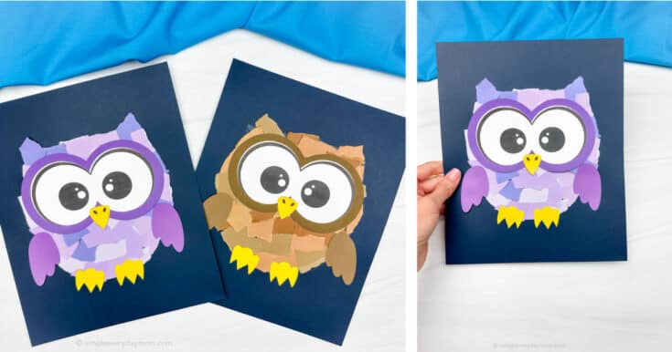 Image for Torn Paper Owls