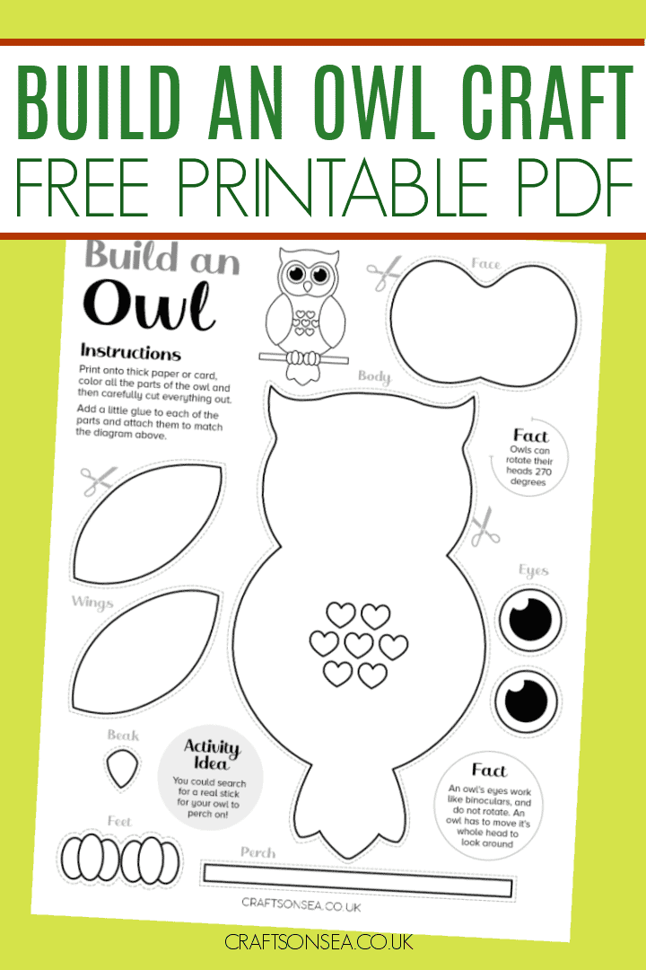 Image for Build an Owl Craft