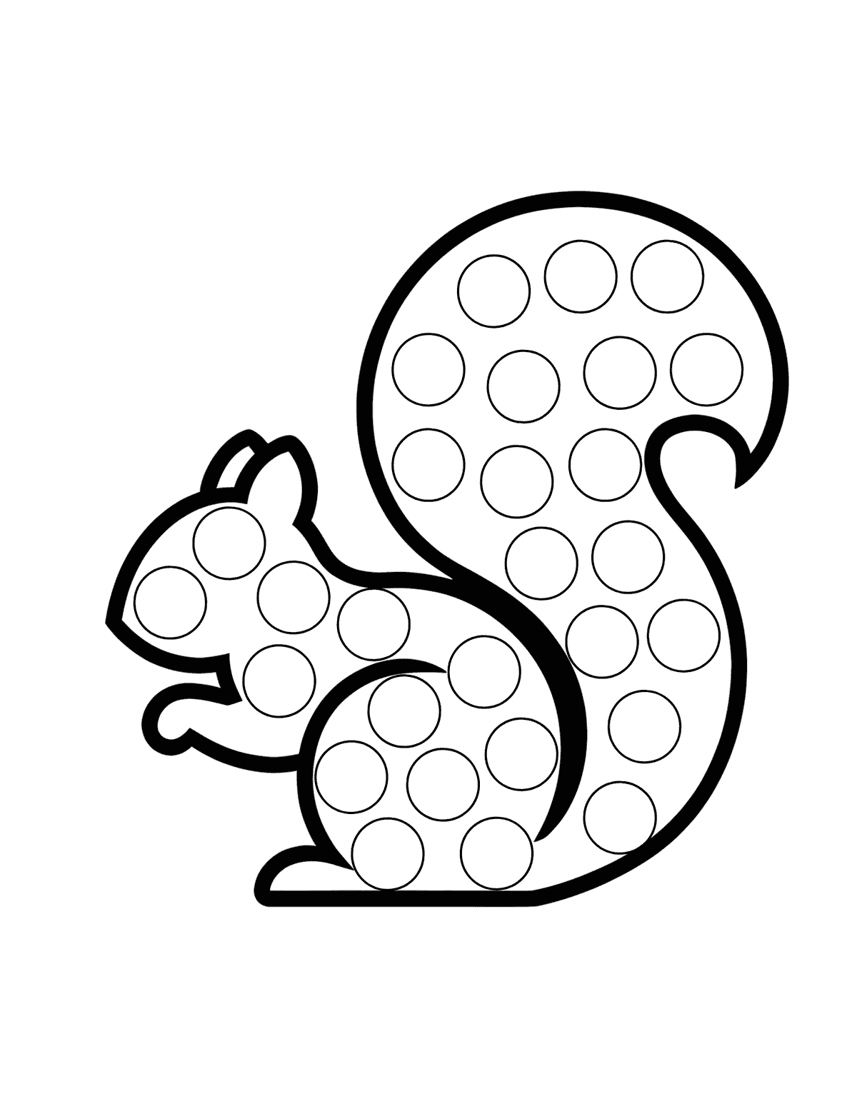 squirrel