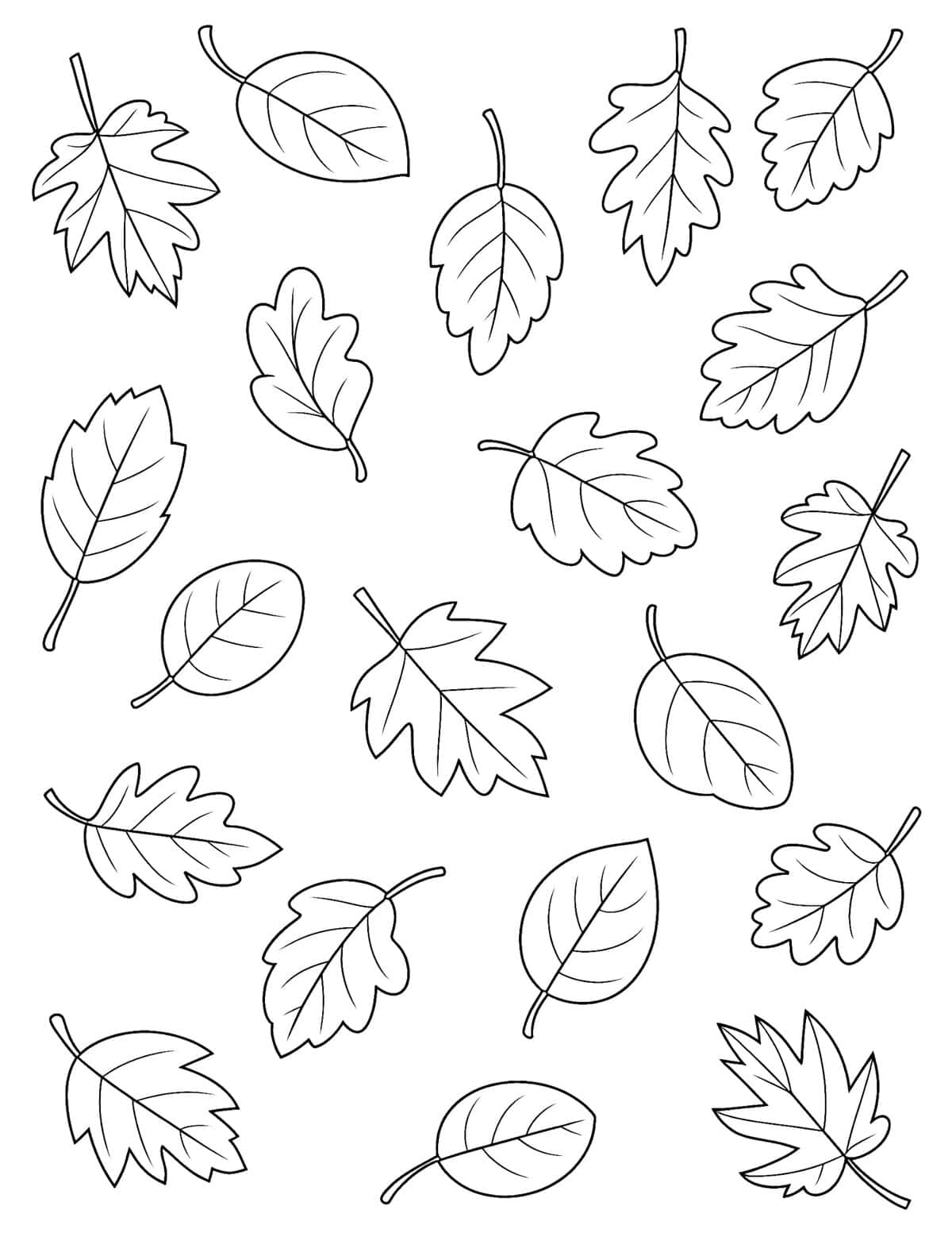 realistic fall leaves coloring page.