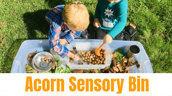 Image for Toddler Sensory Bin With Acorns