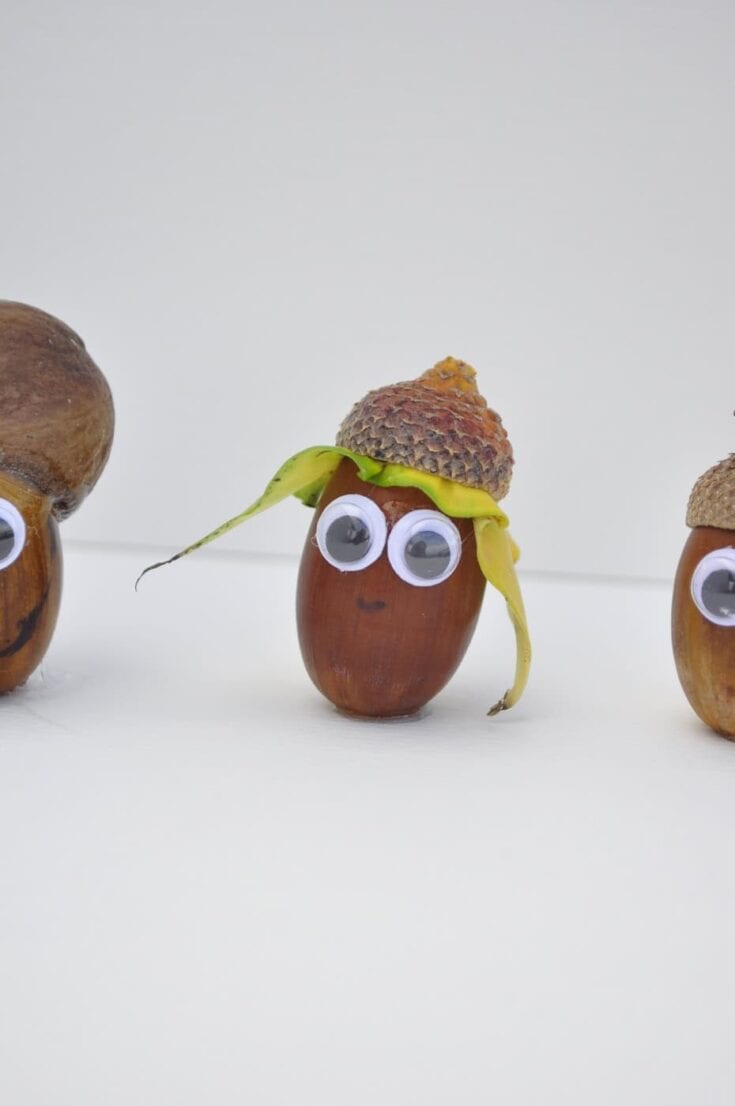 Image for Acorn People