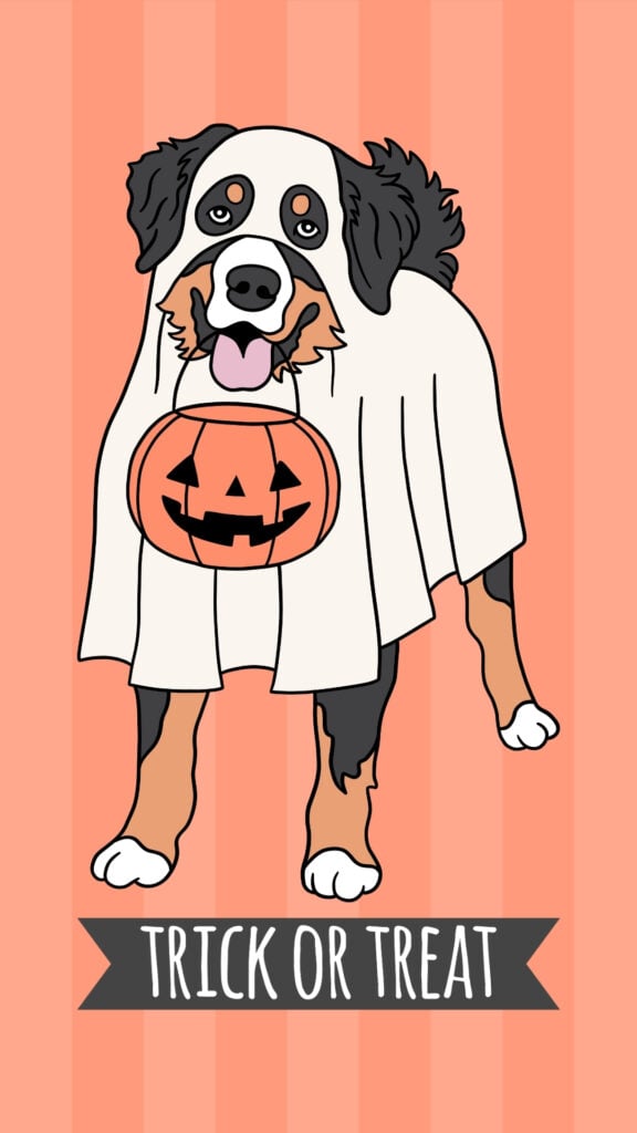 Trick-or-Treat Ghost Dog