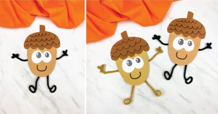 Image for Cute Acorn Character