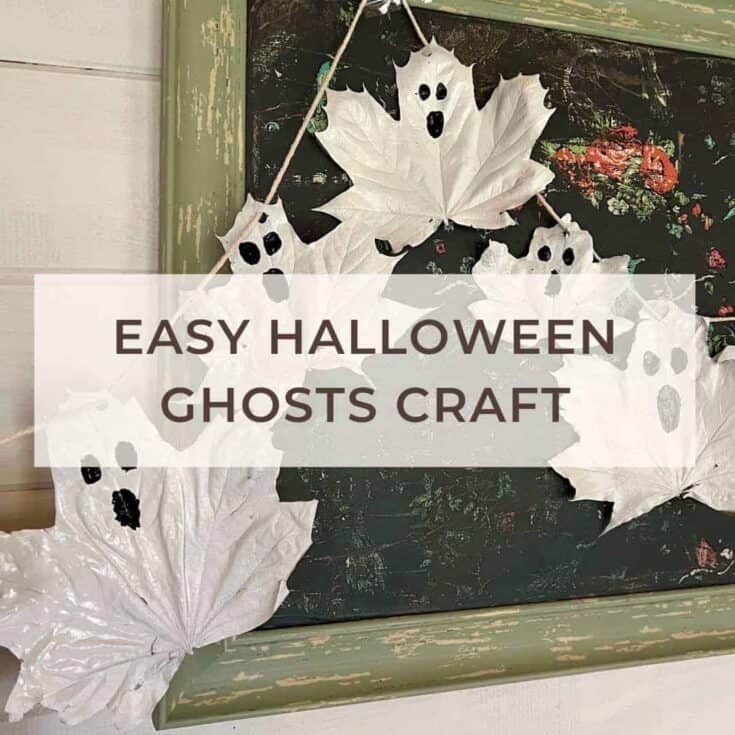 Image for Leaf Ghosts