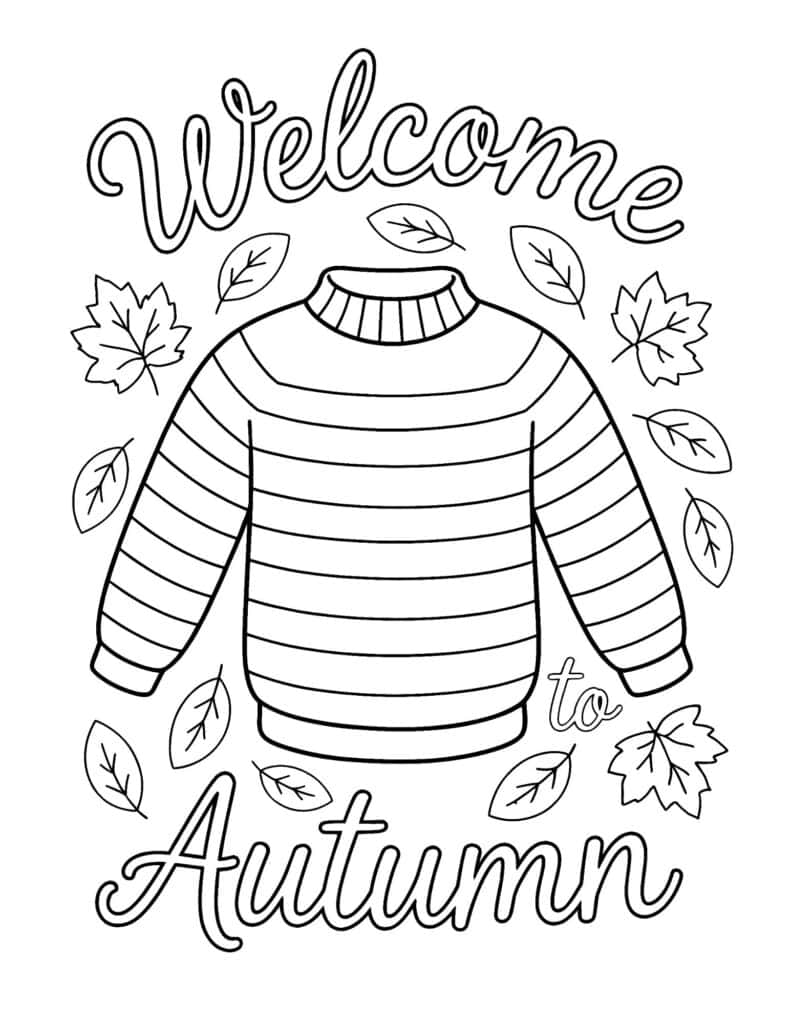 Welcome to Autumn sweater