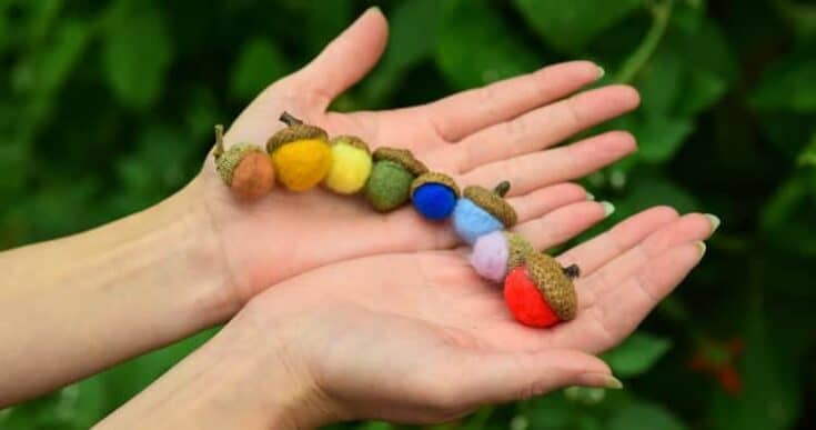 Image for Felted Pom Pom Acorns