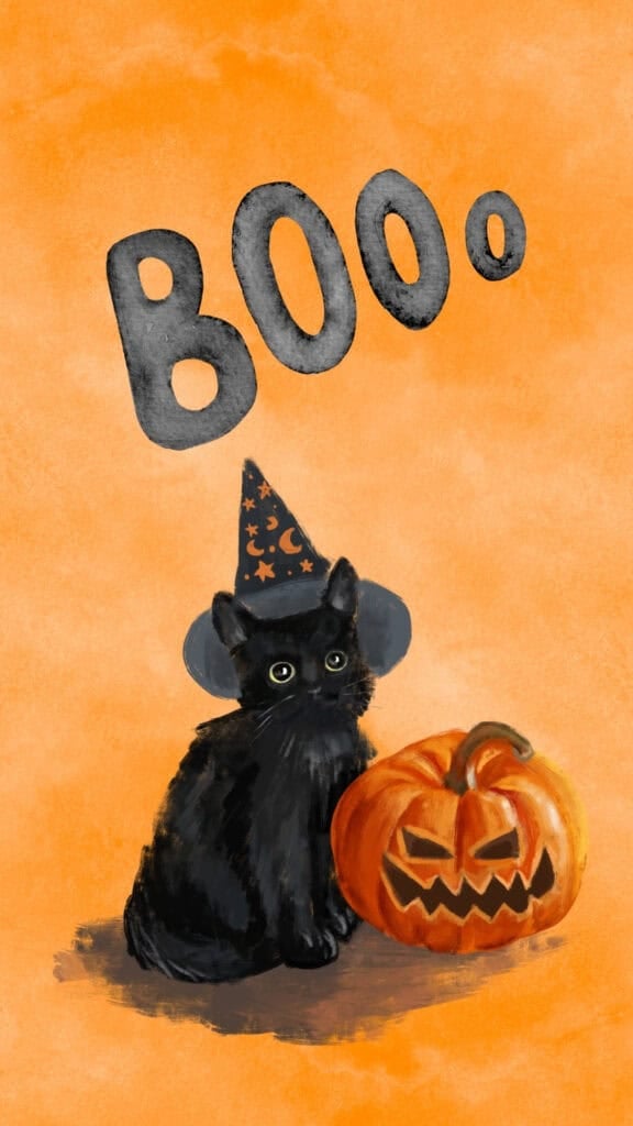Black cat in a witch hat beside a jack-o-lantern with Boo lettering