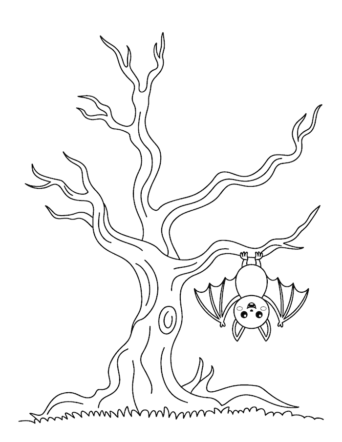 Bat Hanging From a Tree