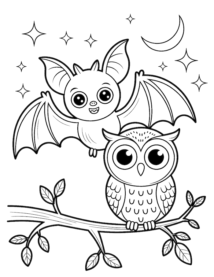 Bat and Owl