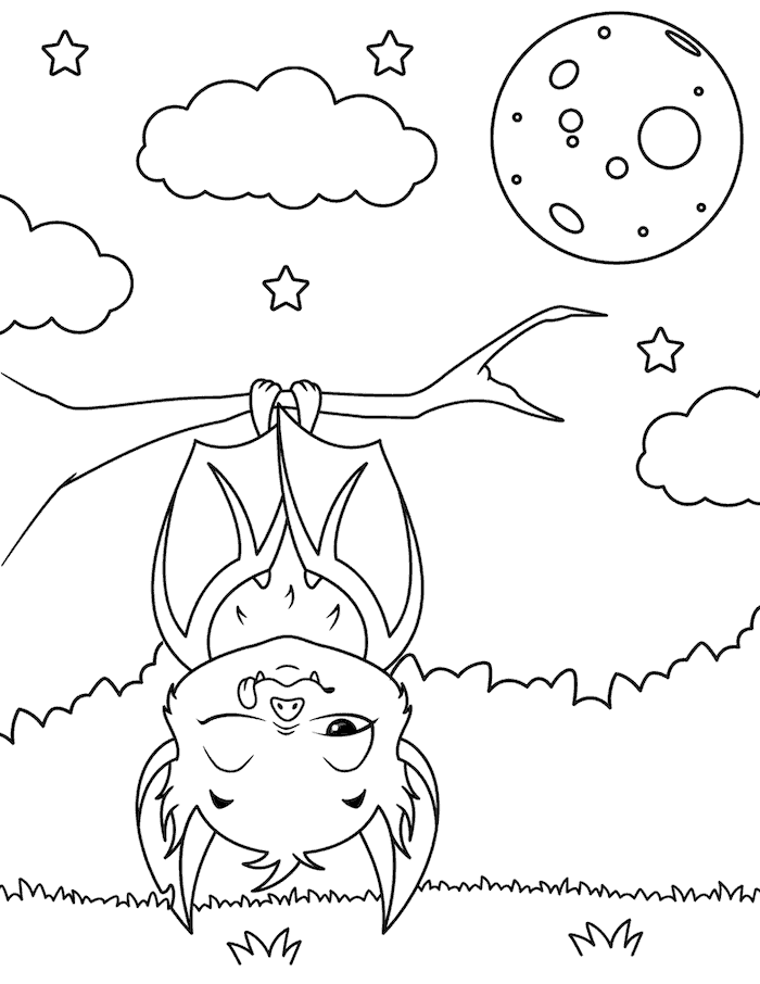 Cute Bat Hanging Upside Down