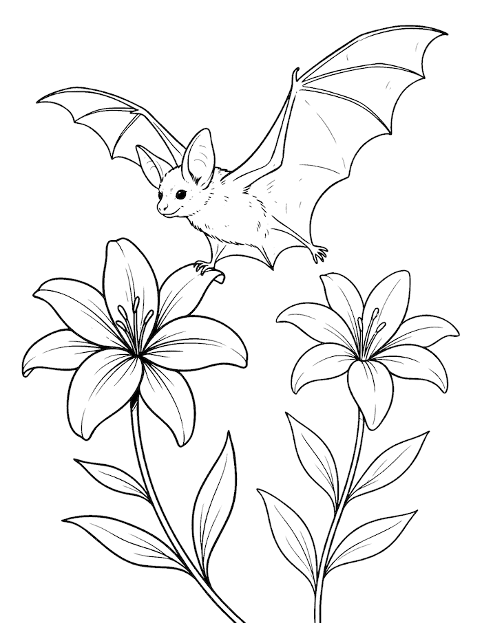 Bat and Flowers Coloring Page