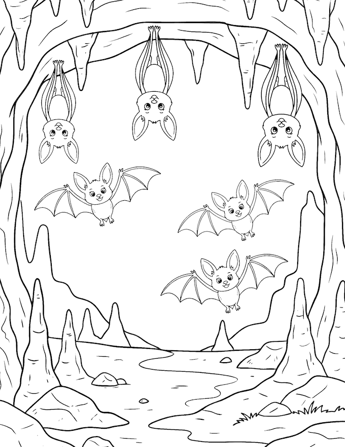 Bats in a Cave