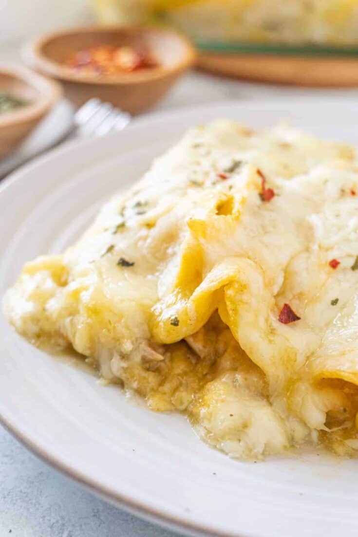 Image for Leftover Turkey Enchiladas
